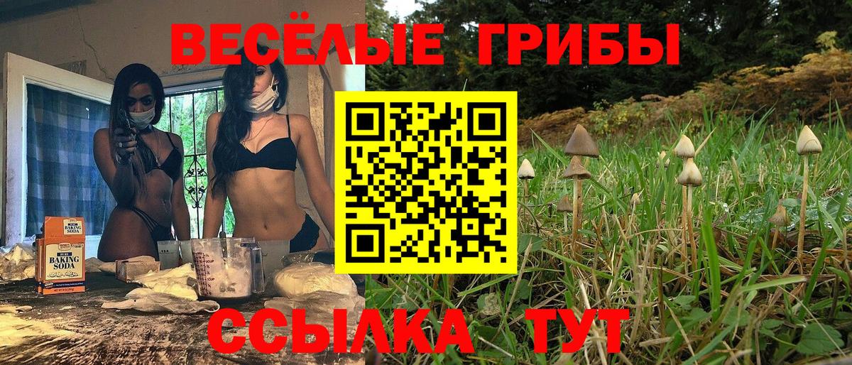 Тихвин  Псилоцибиновые грибы MAGIC MUSHROOMS  Вход с VPN  Псилоцибиновые грибы Magic Shrooms 