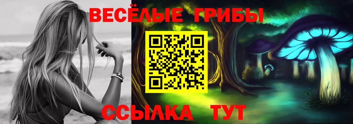 Псилоцибиновые грибы Psilocybine cubensis Тихвин
